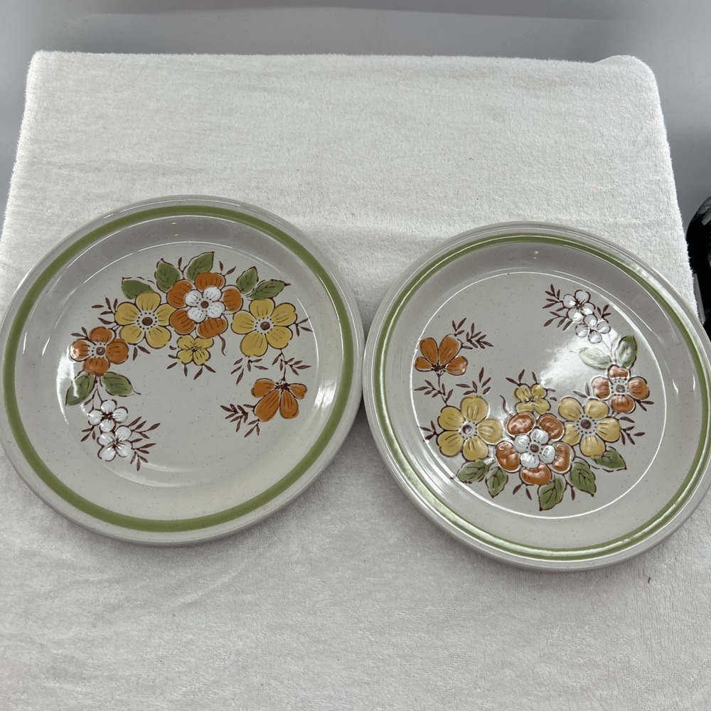 Vintage *Retro* Country Casual Stoneware Spring Garden 2 Plates Set Rare 70's